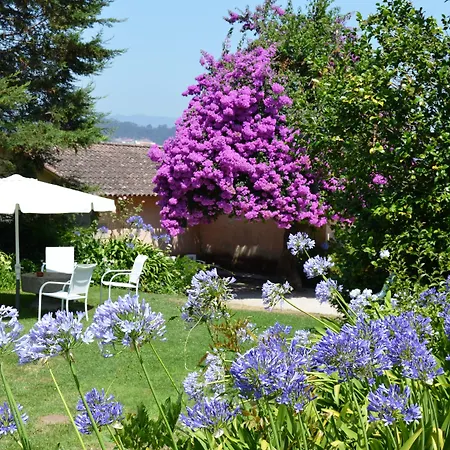 Casa Dos Assentos De Quintiaes ベッド・アンド・ブレックファスト バルセロス