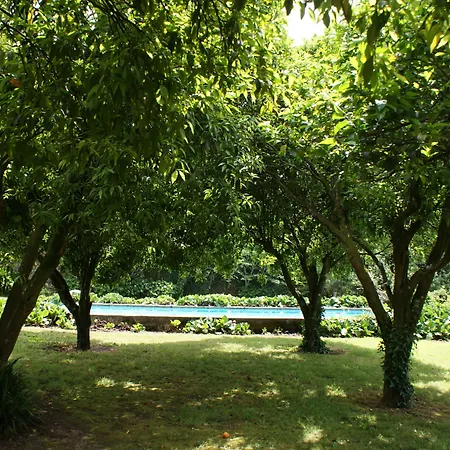 ベッド・アンド・ブレックファスト Casa Dos Assentos De Quintiaes バルセロス