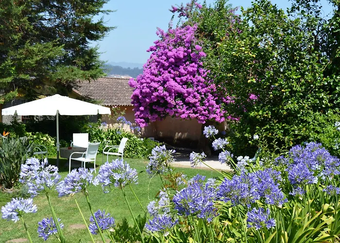 Casa Dos Assentos De Quintiaes Bed & Breakfast Barcelos
