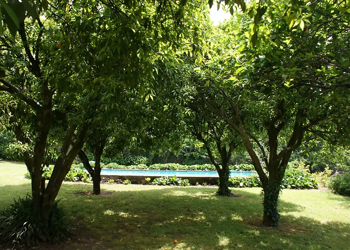 Bed & Breakfast Casa Dos Assentos De Quintiaes Barcelos